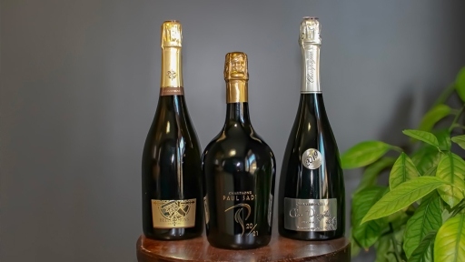 3 cuvées de la gamme de champagne Paul Sadi posés près d'une plante